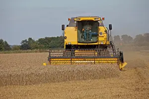 Tractors: Farming - New Holland Combine Harvester - harvesting