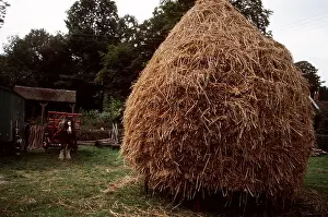Style: FARMING - OLD STYLE CORN RICK