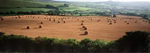 Bales: FARMING - round straw bales at harvest time in the