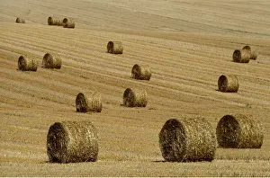 Stubble: FARMING - Straw bales in field