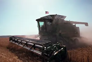 Wheatfields: Farming - Wheatfields