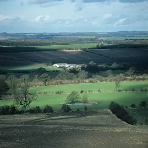 Windbreak: Farmland, Berkshire, UK