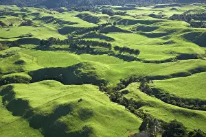 Rolling: Farmland near Okato, Taranaki, North Island