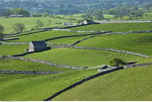200617: Farmland and stone walls, Yorkshire Dales, North