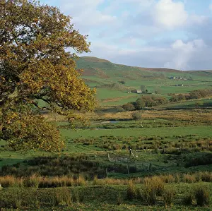 Robur: Farmland in Wales, UK