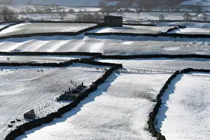 Covering: Farmland in Wensleydale near Askrigg with a covering