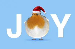 161018: Fat Robin wearing Christmas hat, JOY Fat Robin