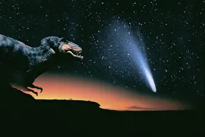 Boundary: The fatal meteorite