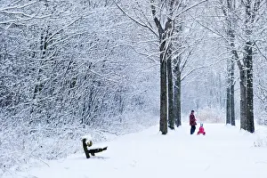 Sledge: Father and child with sledge in snow-covered forest