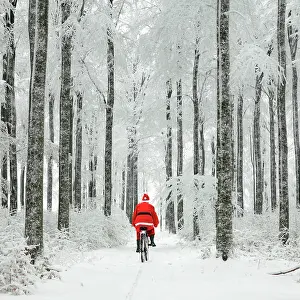 Bikes: Father Christmas - on a bicycle - in snow covered