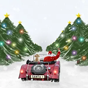 Waving: Father Christmas with Dog driving car through festive