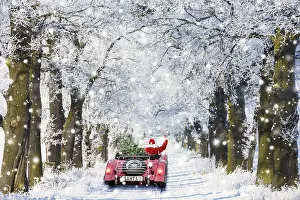 Delivering: Father Christmas driving through Oak trees covered