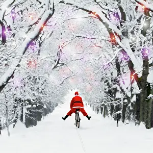 Bikes: Father Christmas riding through avenue in winter