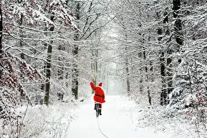 Bikes: Father Christmas - riding bicycle through beech
