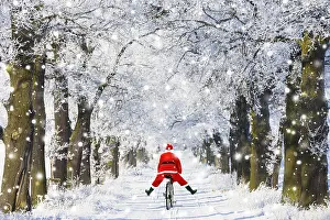 Bicycles: Father Christmas riding bicycle through Oak trees