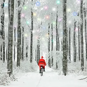 Bikes: Father Christmas riding through woodland covered