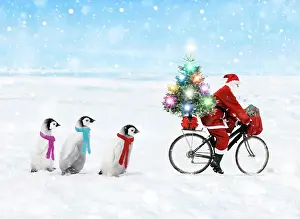 Helper: Father Christmas / Santa Claus cycling with a line