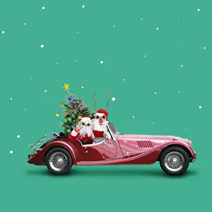 Helper: Father Christmas / Santa driving car with Rudolf