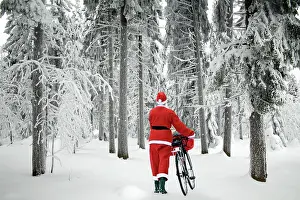 Bikes: Father Christmas - walking bicycle through trees
