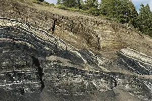 Vein: Faults in Coal Seam