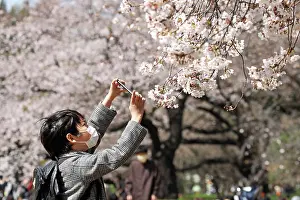 Shinjuku: Fear of the Coronavirus didnt stop the Japanese