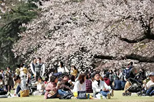 Shinjuku: Fear of the Coronavirus didnt stop the Japanese
