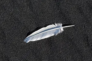 Volcano: Feather beach