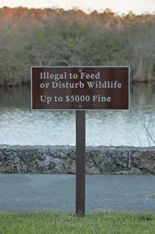 Text: No Feeding Wildlife Sign, Everglades, Florida