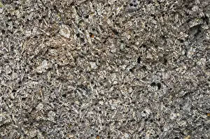 Feldspar: Feldspar crystals