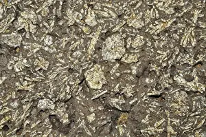 Feldspar: Feldspar crystals