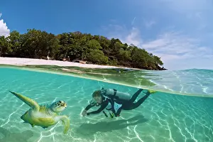 Mydas: Female diver with a turtle in the shallow waters