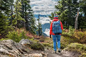 Natur: Female hiker on hiking trail through forest in autumnal