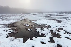 Bogland: Fen in snowy landscape, Belgium, LiA ge, Ardennes