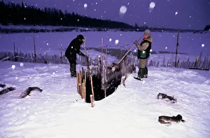 Traps: Fence-fishing, North Siberia, Russia