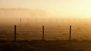 Barriers: Fencing park Bulls at dawn - Camargue France