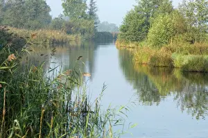 Fenland: Fenland and reedland in the marshes