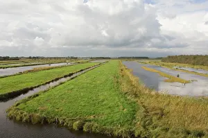 Fenland: Fenland - Remains of the era of peat digging, leeves