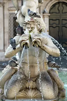 Fountains: Feral Pigeons - standing on fountains
