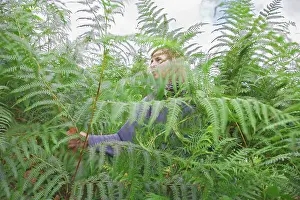 Pteridium: Fern