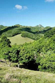 Ferney: Ferney Forest