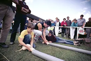 Racing: FERRET- Ferret racing