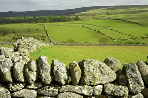 Fertile: Fertile valley farmland with moors above Princetown area