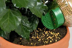 Slow: Fertilizer