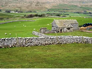 200617: Field Barn and Dry Stone Walls near Ribblehead