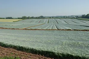 Prevention: Field Covered by Environmesh