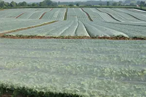 Prevention: Field Covered by Environmesh