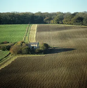 Hedges: Field in November