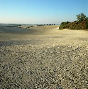 Undulating: Field in October