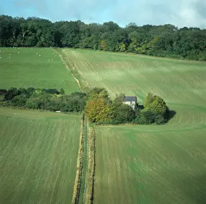 Hedges: Field in October