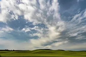 Danita Delimont: Field in the Palouse region of Washington with an